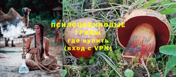 хмурый Карталы