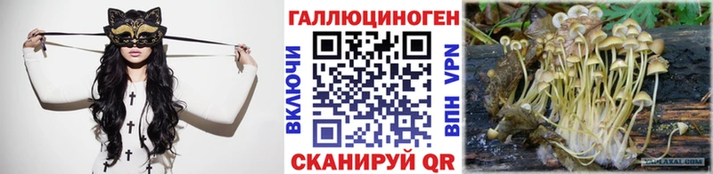 Купить где  Дятьково  Псилоцибиновые грибы Cubensis 