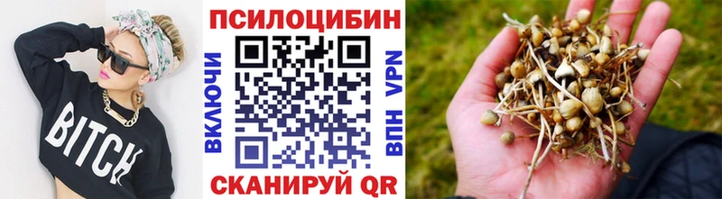 Псилоцибиновые грибы Cubensis Дятьково